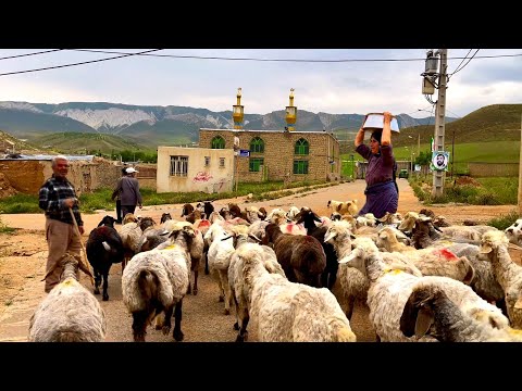 Exploring Iran's Nomadic Lifestyle | Daily routine of rural people in Traditional village