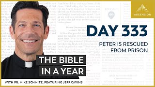 Day 333: Peter Is Rescued from Prison — The Bible in a Year (with Fr. Mike Schmitz)