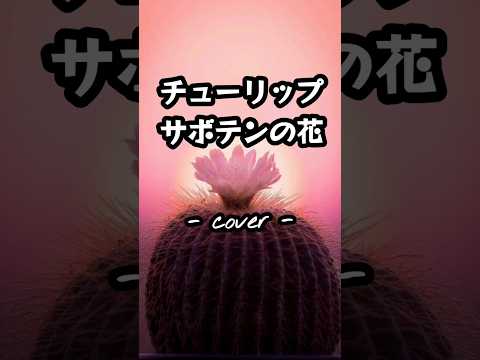 サボテンの花／チューリップ  歌ってみた。