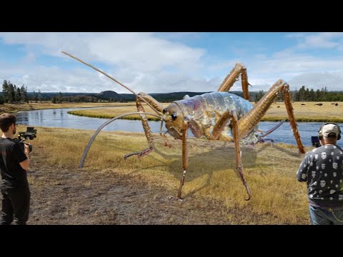 10 Biggest Insects Ever Discovered