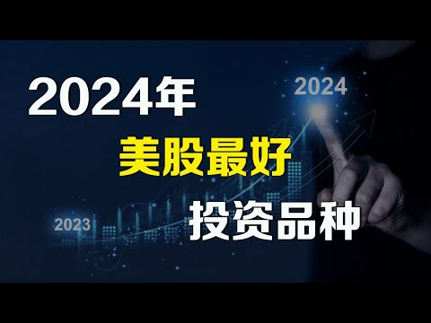 美股2024年最好的投资品种 NVDA