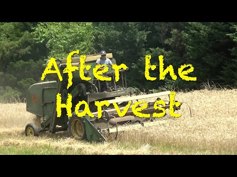 After the Harvest: Cleaning the Grain