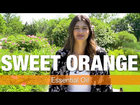 Sweet Orange Essential Oil Explained by Essential Oils Specialist | National Nutrition