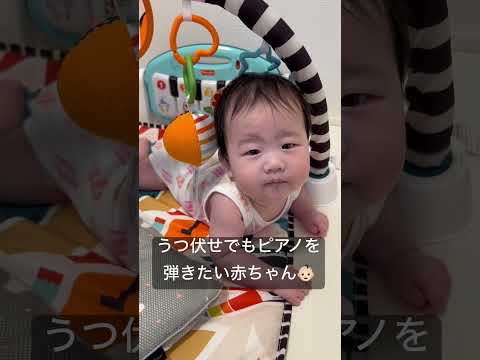 チラチラ確認しながら器用にピアノを弾く赤ちゃん👶🏻#赤ちゃん #赤ちゃんのいる生活 #日韓ハーフベビー #日韓ハーフ #baby #生後3ヶ月 #かわいい