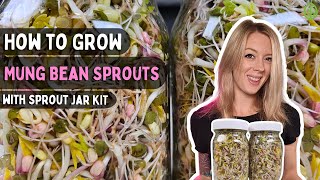 How to Sprout Mung Bean seeds at home with Sprouting Jar Kit | Soilless