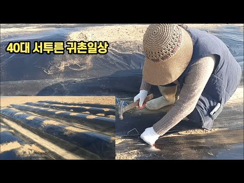 40후반 1인가구 일상 브이로그 vlog 부모님 밭일돕는 서투른 귀촌일상