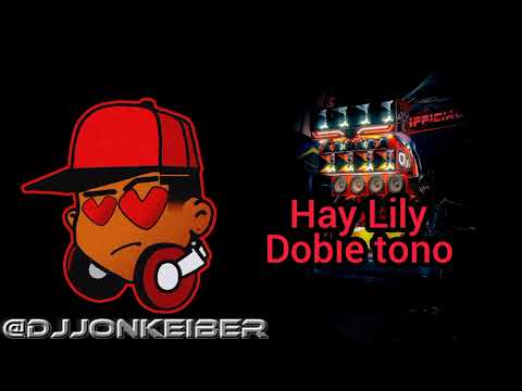 HA HA HAY LILY (((REMIX))) DOBLE TONO☠️DJJONKEIBER 💥