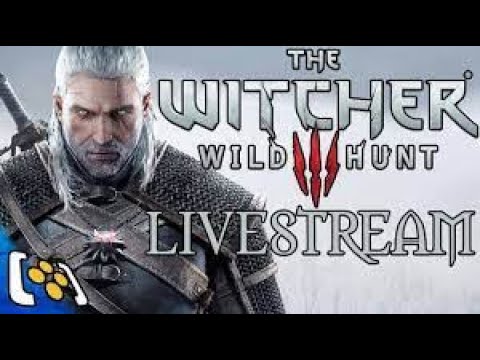 witcher 3 live stream personal gamer