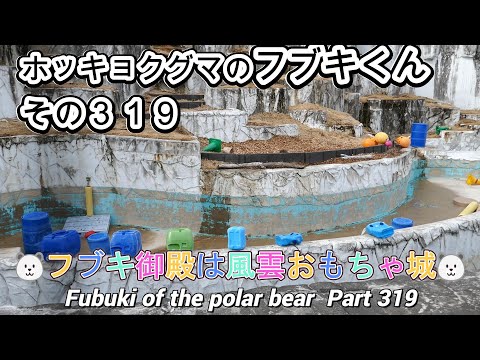 ホッキョクグマのフブキくん（３１９）🐻‍❄️フブキ御殿は風雲おもちゃ城🐻‍❄️（東山動植物園）Fubuki of the polar bear Part 319