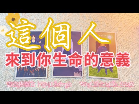 😮⚠️心中的這個人，來到你生命中的意義是什麼呢？【蜜拉塔羅占卜ＭilaSpiritualTarot】