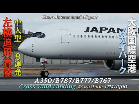 伊丹空港 横追風着陸 中大型8機 | 4K Crosswind Landing in Osaka ITAMI Airport ITM/RJOO