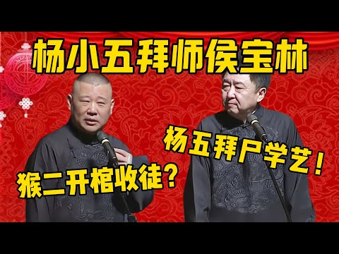 杨小五拜师侯宝林成功了？郭德綱：这事太离谱了，猴二是要开棺收徒吗？于謙：杨五拜尸学艺嘛！德雲社相聲大全 #郭德纲 #于谦#德云社#优酷 #杨仪 #侯宝林 #侯耀华