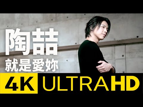 陶喆 David Tao - 就是愛妳 Love Can...... 4K MV (Official 4K UltraHD Video)