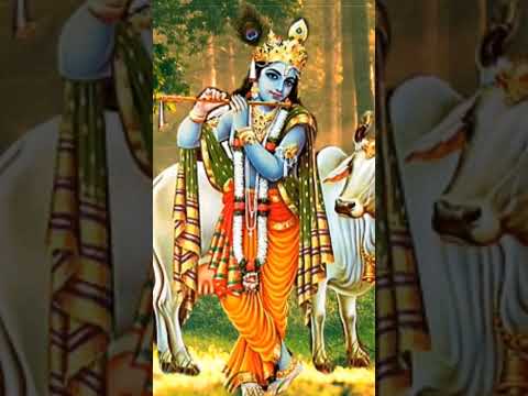 Krishna Vrindavan Song  !! Krishna Bhagwan ki Bansuri ki Dhun   #viral  #shorts  #devotioninspires