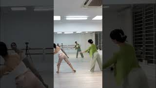 Múa Một vòng Việt Nam - Lethanhtrandance - Linh pi ft Lệ Thanh #muadangian #motvongvietnam