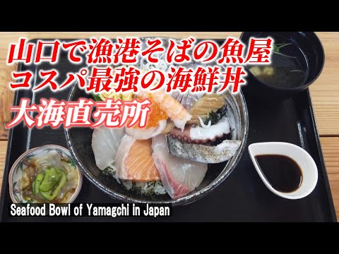 【山口グルメ】新鮮でリーズナブルな海鮮丼！「大海直売所」【 Fresh seafood bowl / Yamaguchi in Japan】