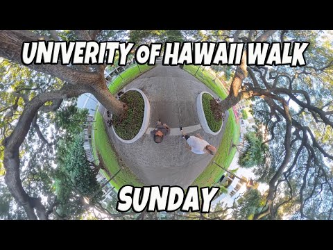 University of Hawaii Walk Dream Again by Megan Wofford | Reimagine by Megan Wofford | Blushing