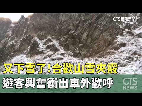 又下雪了！　合歡山雪夾霰　遊客興奮衝出車外歡呼｜華視新聞 20250115 @CtsTw