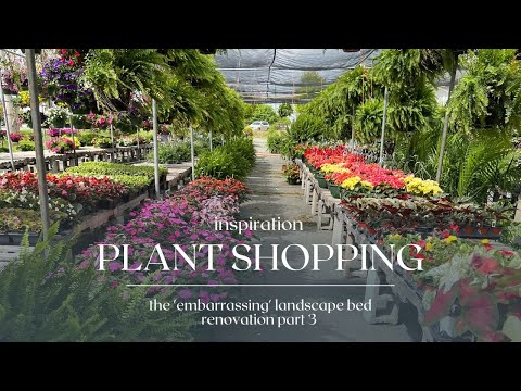 "Amazing" Plant Ideas 🌳🏡 : Let's Go Inspiration Shopping For My Embarrassing Bed Renovation Part 3