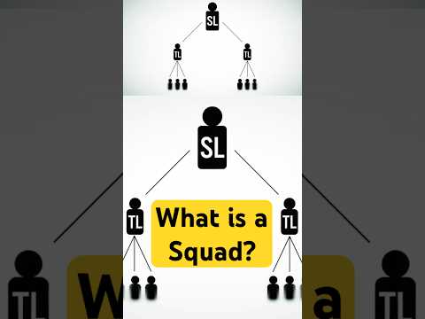 What is a squad?