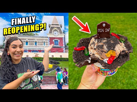 😱 (FINALLY!) DISNEYLAND RESORT RAILROAD REOPENING?! | New Food, MORE SNOW, Merch + MUCH MORE!