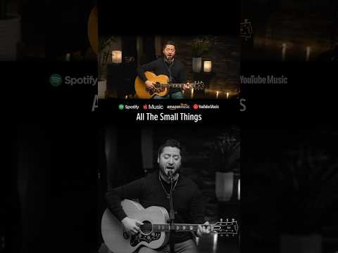 All The Small Things (Wedding Version) - Blink-182 (Boyce Avenue acoustic cover) #shorts #ballad