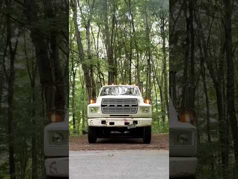 indian vs foreign trucks compilation song #trucks #horn   #sound