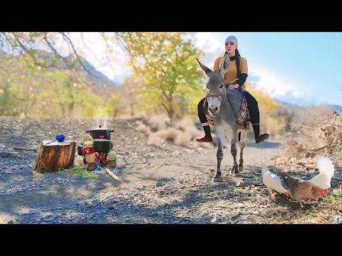 Village Lifestyle Iran | Amazing Donkey Riding by Village Girl