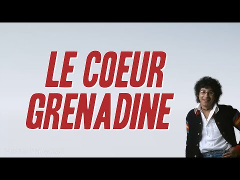 Laurent Voulzy - Le coeur grenadine (Paroles)