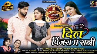 SYAM KUTELIHA NEW CG LOVE SONG VIDEO|| DIL PINJARA MA RANI || दिल पिंजरा म रानी || श्याम कुटेलिहा ||