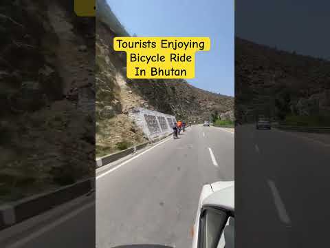 Tourists enjoying Bicycle Ride in a Sunny Day