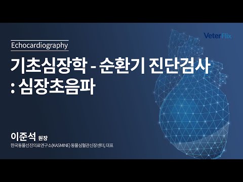 [베터플릭스][기초심장학] 순환기 진단검사 : 심장초음파(Echocardiography)