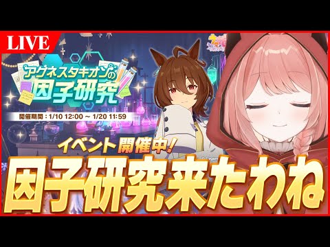 【ウマ娘LIVE】因子を制するものがウマ娘を制す　1月チャンミや2月LoHの因子についての話