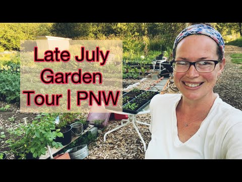 Full Garden Tour - Late July | PNW Zone 8b