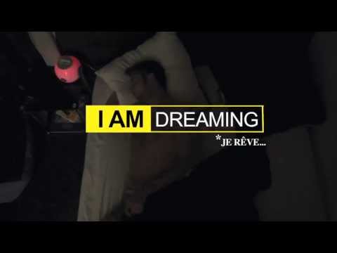 I AM (DREAMING)