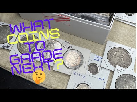 ❓What Should I get Graded Next❓Morgans & Peace Dollars, or Type coins❓ I have a few Key Dates also.