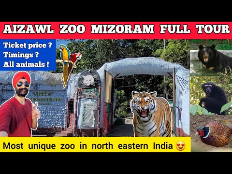 Aizawl zoo - aizawl zoological park mizoram | Aizawl zoo savawm chhuak animals | Mizoram zoo tour