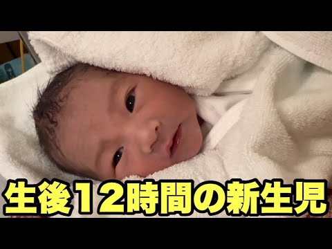 【新生児】生後12時間の赤ちゃんに密着/日出産後、入院中のママとベイビー