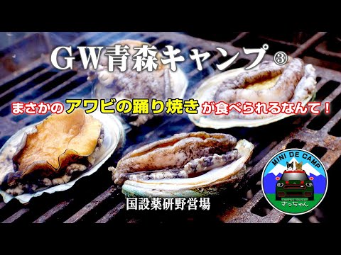 GWキャンプ2024！青森キャンプ③キャンプ飯はアワビの踊り焼き！国設薬研野営場