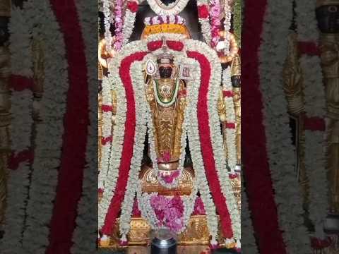 #APPANMURUGAN#TRENDINGVIDEO MURUGAN#GOD#AROGARA#DEVOTIONALSONGS #BAKTHISONGS #saamisongs