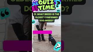 Dog Facts Quiz Trivia Challenge! Test your knowledge! #quiztime #trivia #dogfacts #shorts