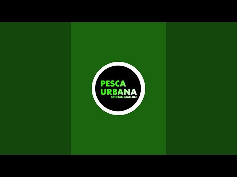 PESCA URBANA - Cristian Malloni está en vivo