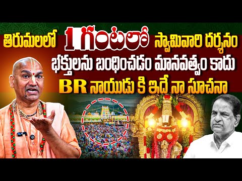 Radha Manohar Das Appriciates TTD Chairman BR Naidu Over Devotees To Have Darshan In One Hour