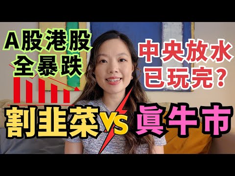 港股A股是牛市還是割韭菜? 分析中國政府的8000億直接融資計劃 #上證指數 #恆生指數 #股票投資 普通話+廣東話 (中文字幕）#A股免佣優惠