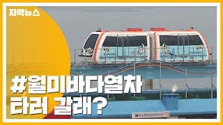 [자막뉴스] 바다 보며 달리는 '월미바다열차' 타러 가자! / YTN