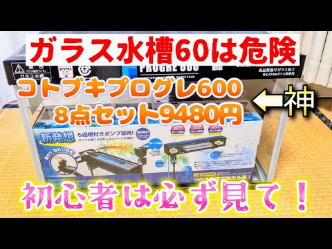 【メダカ】初めてのガラス水槽60cm購入して大失敗😱注意点⚠️コトブキプログレ600お得すぎる8点セット❗開封紹介🎶#飼育 #アクアリウム#初心者#割れる#室内#めだか#越冬#kotobuki#寿工芸