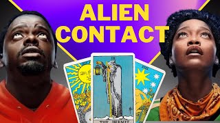 What the Cards Say - The Aliens