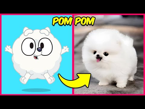 How BLUEY Characters Look IN REAL LIFE + 🔊 Guess the Bluey Characters by Their Voice 🐕✅