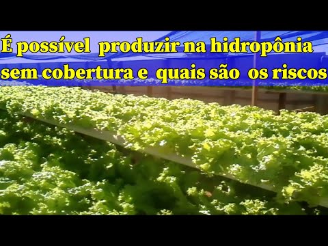 Da certo produzir hidropônica sem cobertura usando apenas com sombrite ?