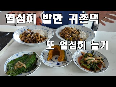 열심히 밥하다 뛰쳐나가 싸이 흠뻑쇼를 다녀온 어머님 / 세상에서 제일 맛있는 어무니표 콩국물 /가지덮밥 / 간장두부덮밥